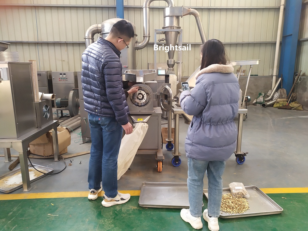 小錘粉碎甘草試機(jī)
